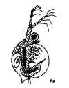 ceriodaphniapulchella.jpg (62176 byte)