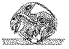 chydorus.gif (26890 byte)