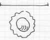 holopediumsperm.jpg (14612 byte)