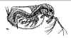 img.jpg (20498 byte)